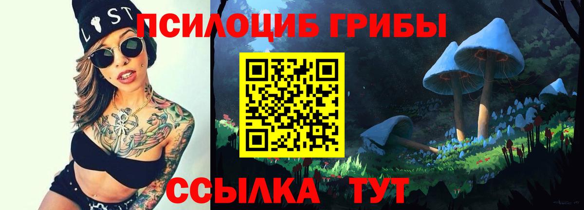 Галлюциногенные грибы Cubensis  Вход с VPN  Комсомольск-на-Амуре 