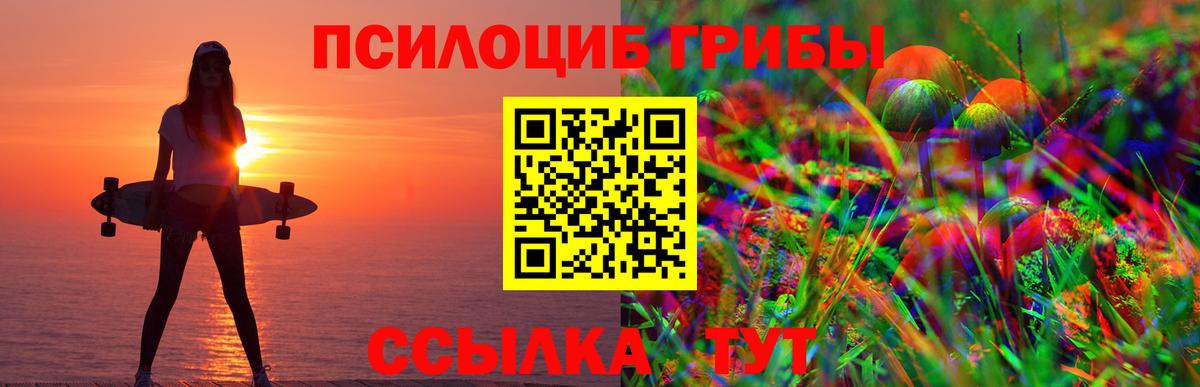 Псилоцибиновые грибы мухоморы Комсомольск-на-Амуре